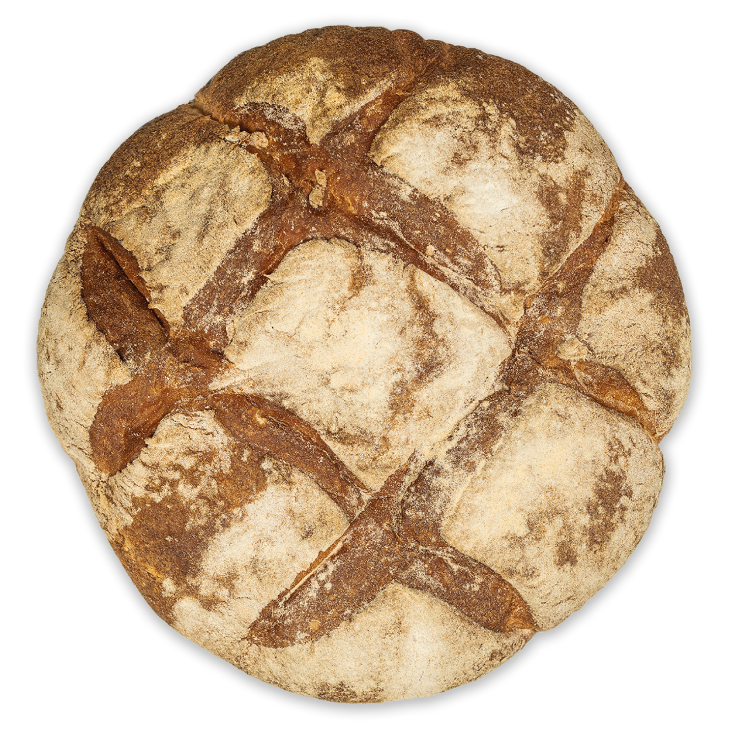 PANE SEMOLA TIPO ALTAMURA (1000gr)